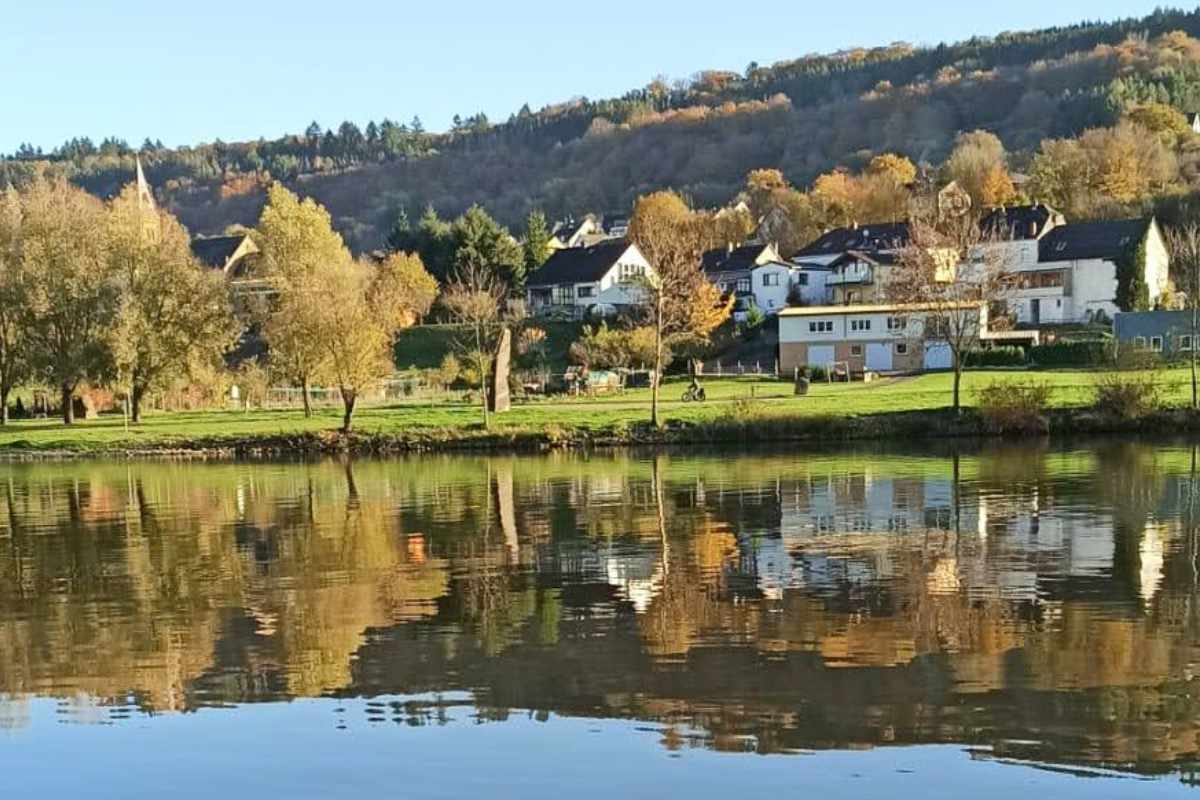 Die Mosel ist ein tolles Barben Gewässer Barben angeln Mosel