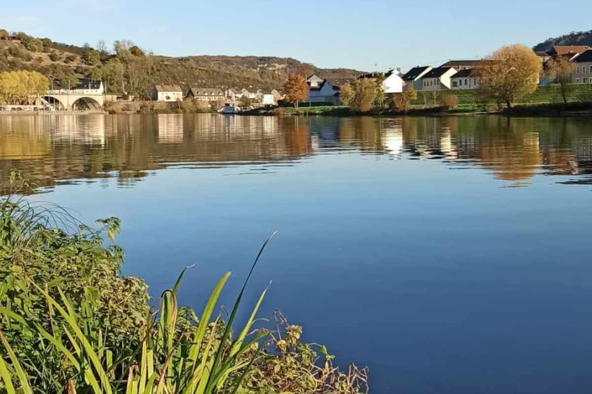 Schöner Angelurlaub in Wasserbillig Luxemburg Barben angeln Wasserbillig