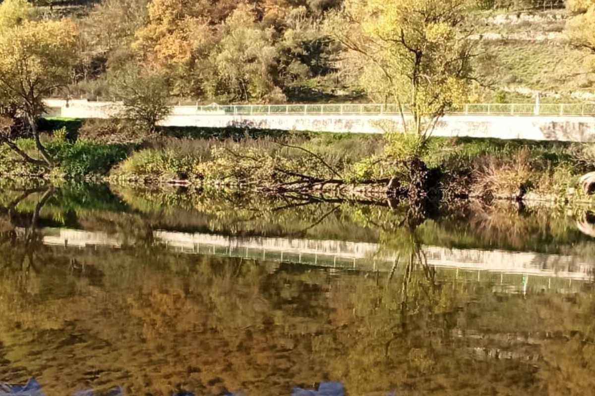 Angelurlaub an der Sauer in Langsur Barben angeln Langsur