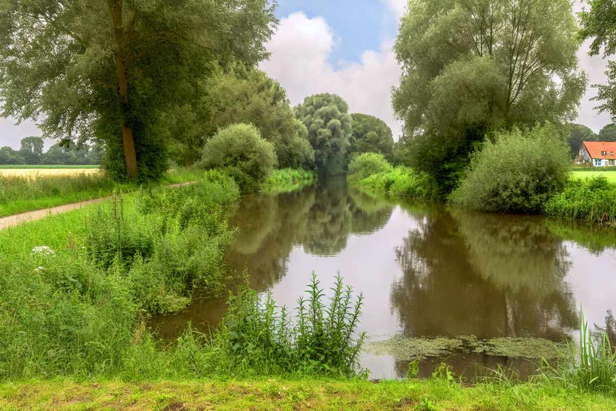 Niers angeln Angelurlaub